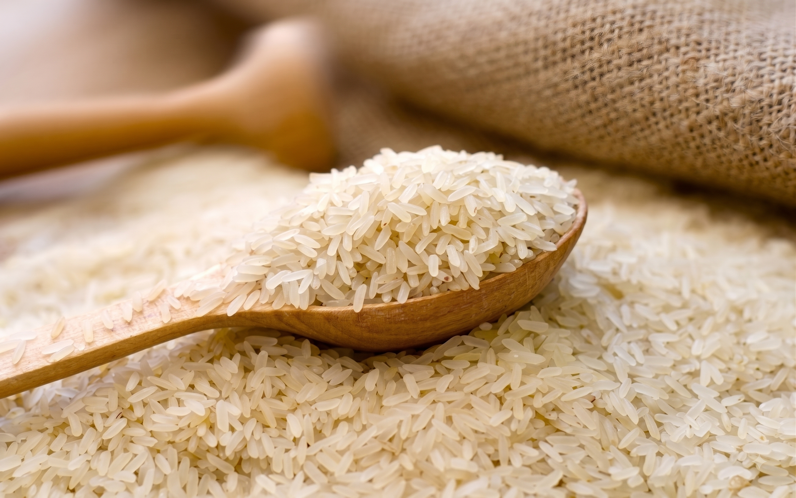 1401 Basmati Rice